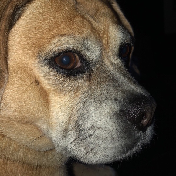 Meet your Posher, Lori - Picture 1 of 1